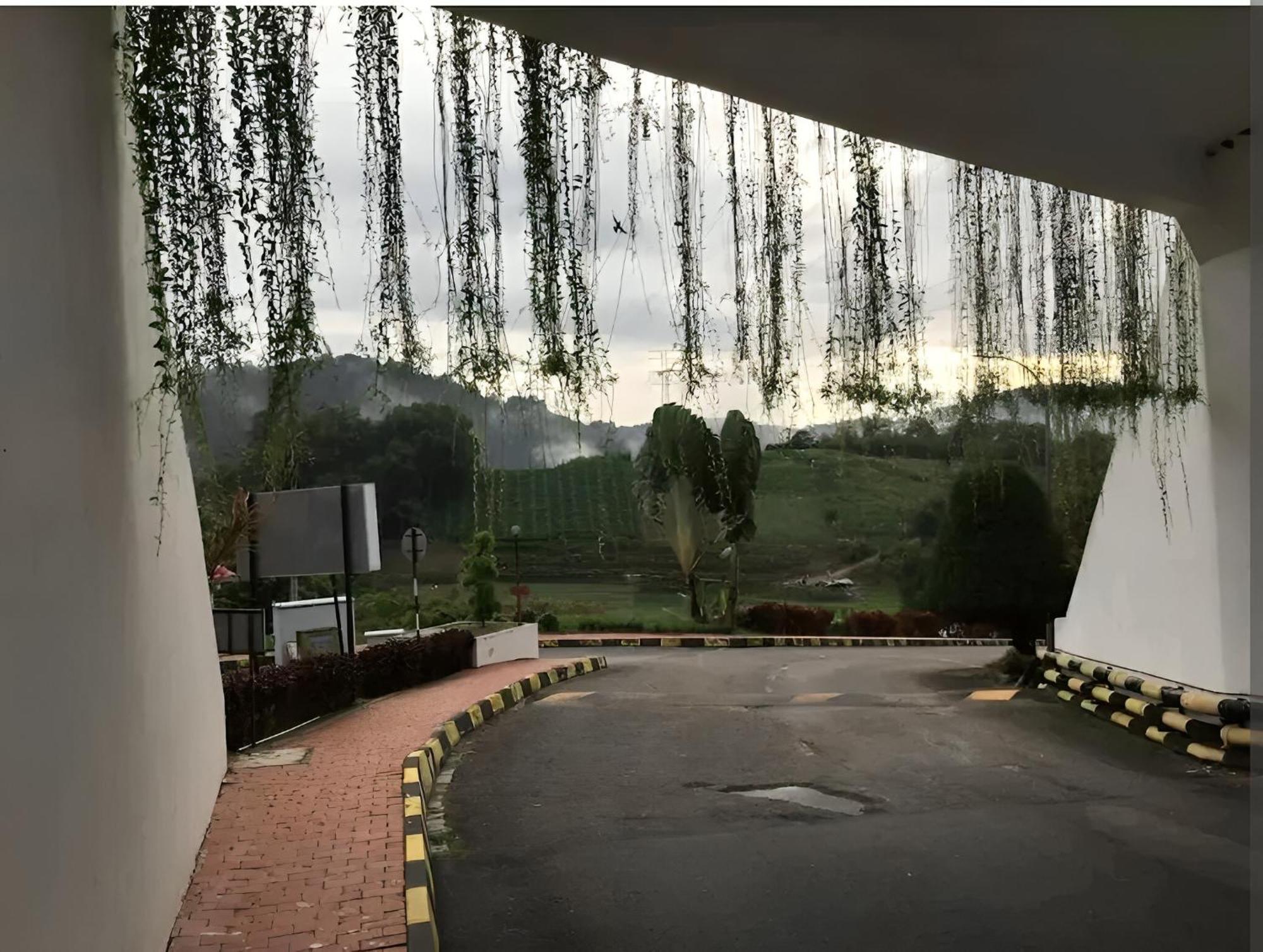 Bukit Tinggi Fuchsia Hillhomes מראה חיצוני תמונה